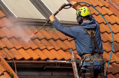Démoussage et hydrofuge de toiture à Vidaillat